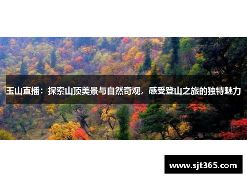 玉山直播：探索山顶美景与自然奇观，感受登山之旅的独特魅力