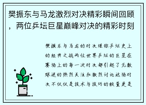 樊振东与马龙激烈对决精彩瞬间回顾，两位乒坛巨星巅峰对决的精彩时刻
